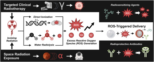 Bridging clinical radiotherapy and space radiation therapeutics through reactive oxygen species (ROS)-triggered delivery