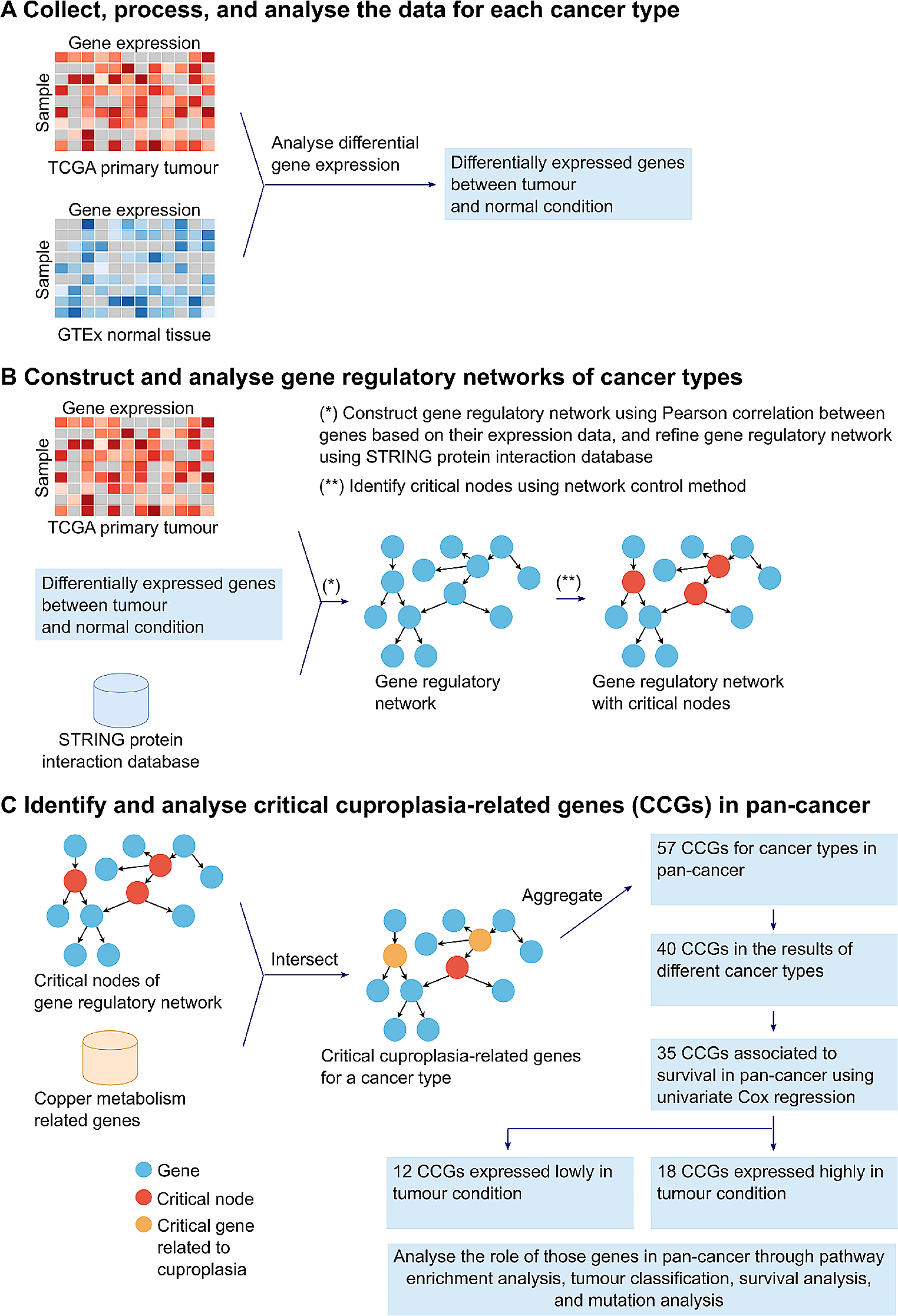 A novel network-based method identifies a cuproplasia-related pan-cancer gene signature to predict patient outcome
