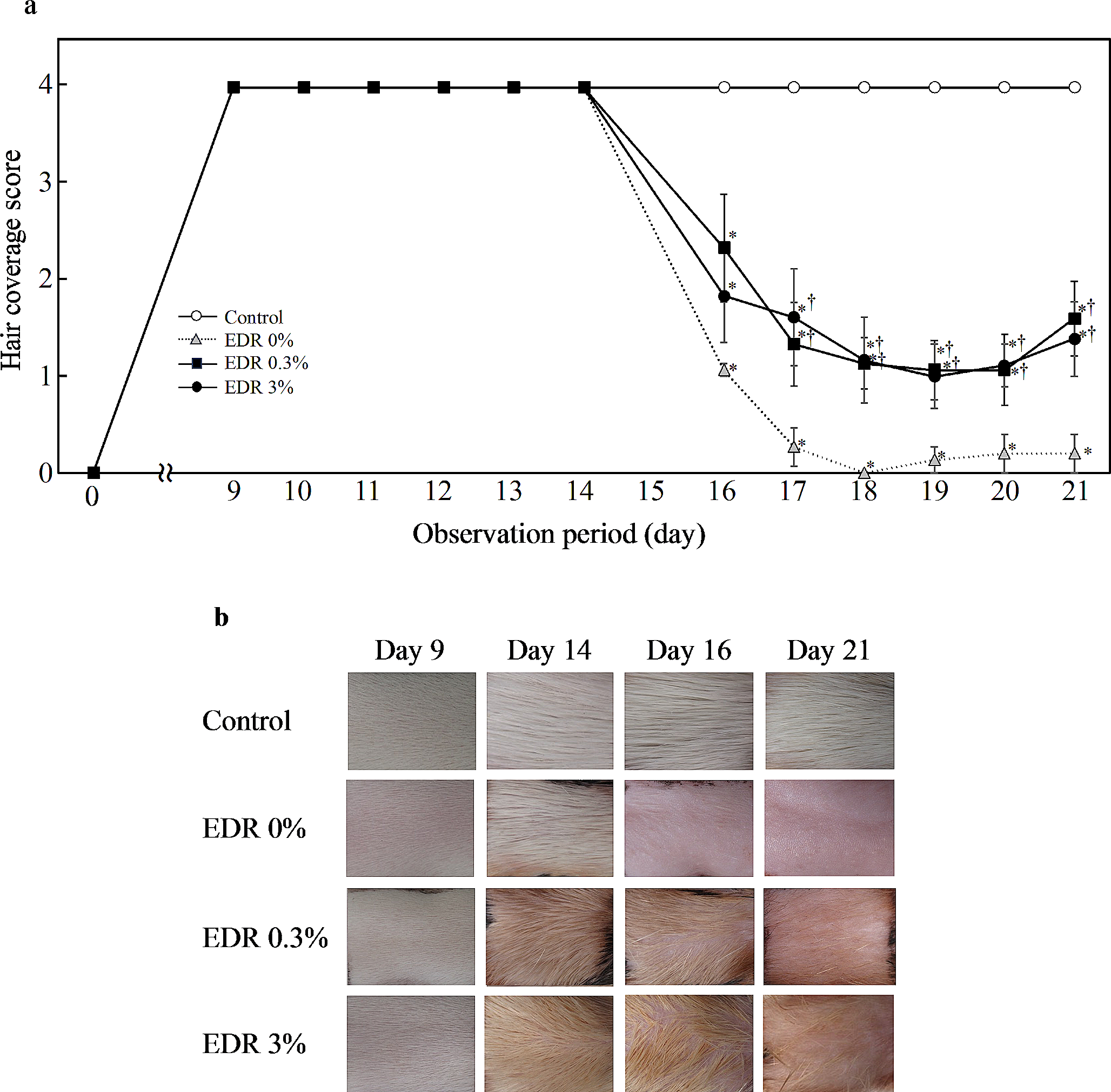 Preventive effect of free radical scavenger edaravone lotion on cyclophosphamide chemotherapy-induced alopecia