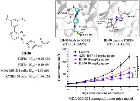 Discovery of N-(4-((6-(3,5- Dimethoxyphenyl)-9H-purine derivatives as irreversible covalent FGFR inhibitors