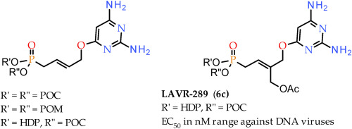 Synthesis of LAVR-289, a new [(Z)-3-(acetoxymethyl)-4-(2,4-diaminopyrimidin-6-yl)oxy-but-2-enyl]phosphonic acid prodrug with pronounced antiviral activity against DNA viruses