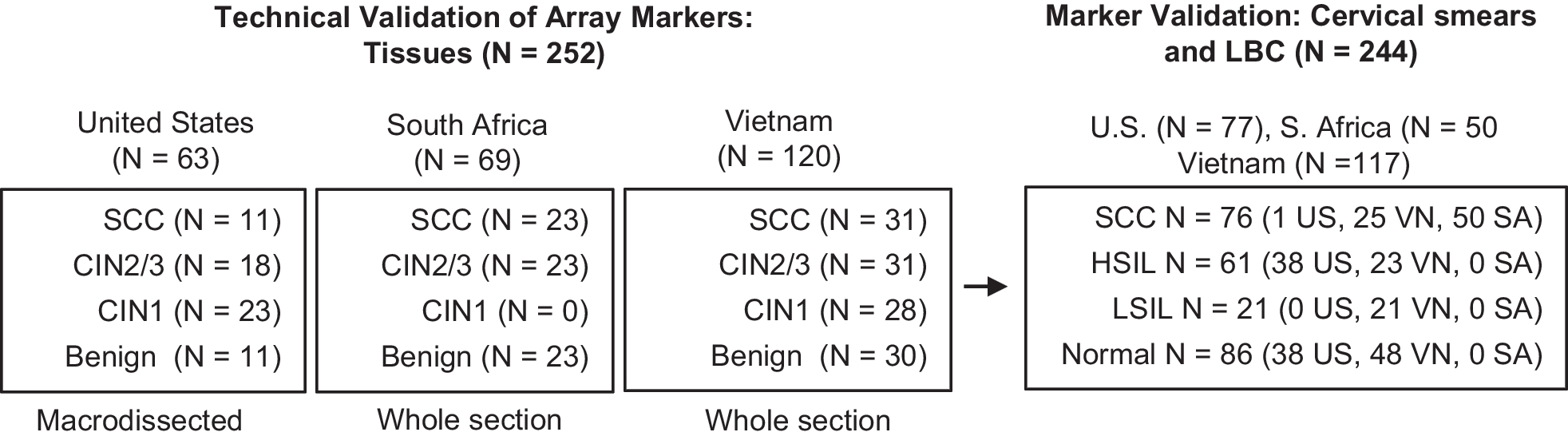 Discovery and technical validation of high-performance methylated DNA markers for the detection of cervical lesions at risk of malignant progression in low- and middle-income countries