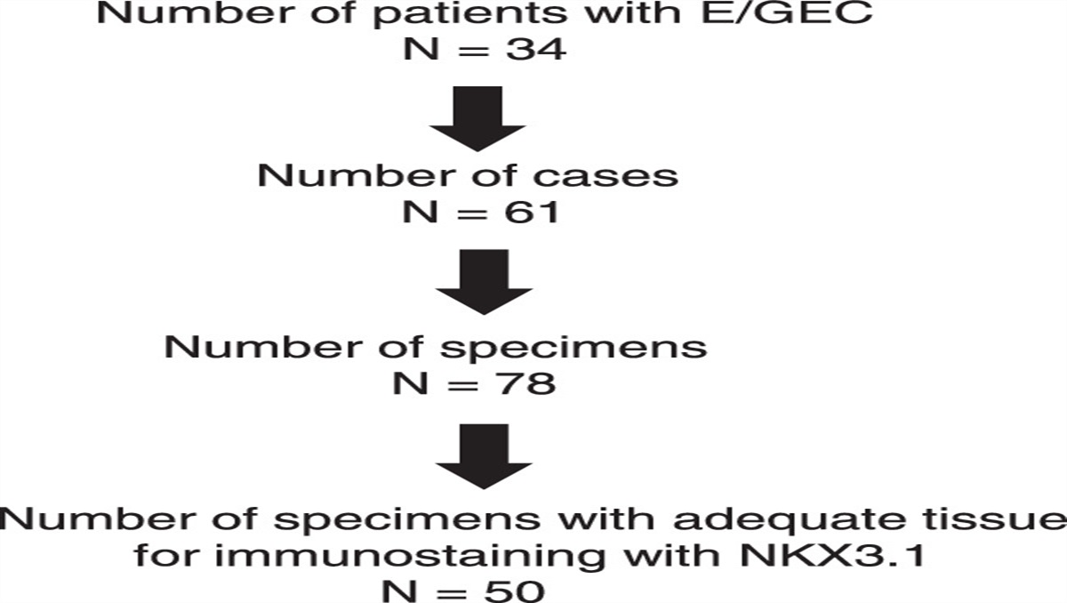 NKX3.1 Expression in Non-Prostatic Tumors and Characterizing its Expression in Esophageal/Gastroesophageal Adenocarcinoma
