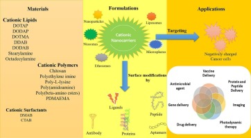 Cationic nanocarriers: A potential approach for targeting negatively charged cancer cell