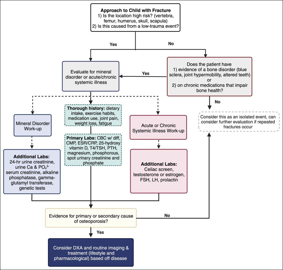 A Comprehensive Review of Bone Health in a Child: From Birth to Adulthood