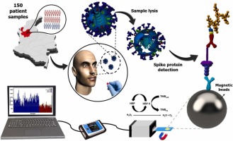 Clinical validation of SARS-CoV-2 electrochemical immunosensor based on the spike-ACE2 complex