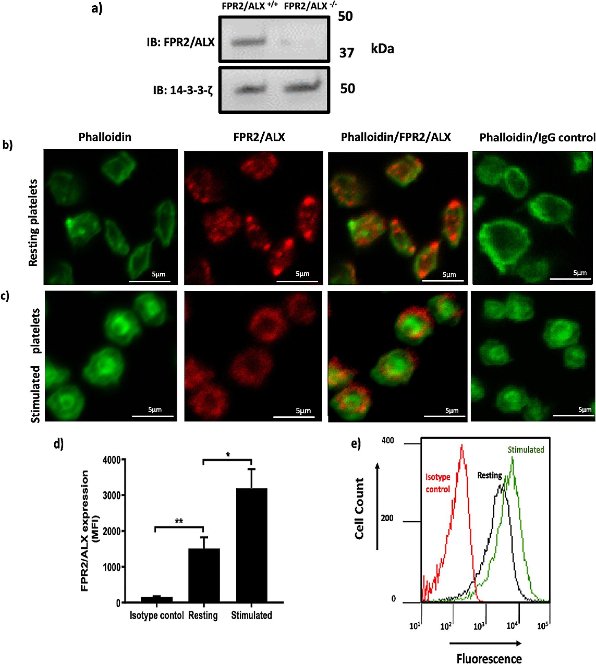 Lipoxin A4 analogue, BML-111, reduces platelet activation and protects from thrombosis