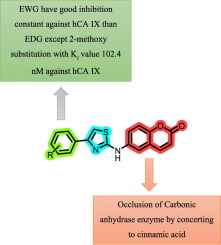 Design, synthesis and in vitro evaluation of novel thiazole-coumarin hybrids as selective and potent human carbonic anhydrase IX and XII inhibitors