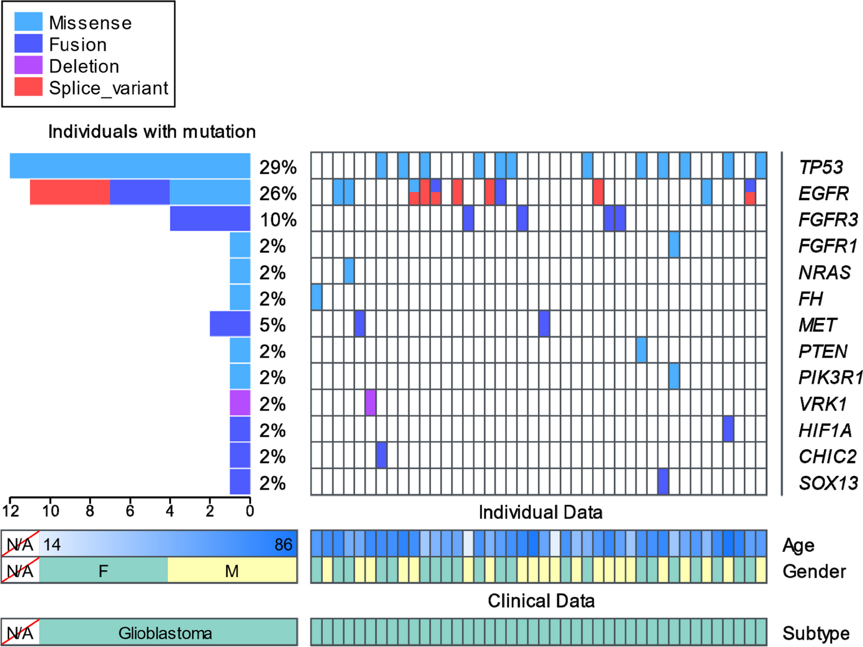 Genomic landscape of glioblastoma without IDH somatic mutation in 42 cases: a comprehensive analysis using RNA sequencing data