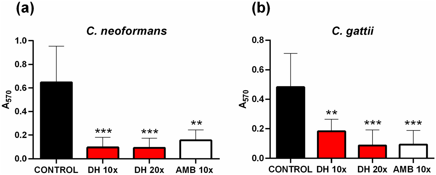 Antifungal and antibiofilm effect of duloxetine hydrochloride against Cryptococcus neoformans and Cryptococcus gattii