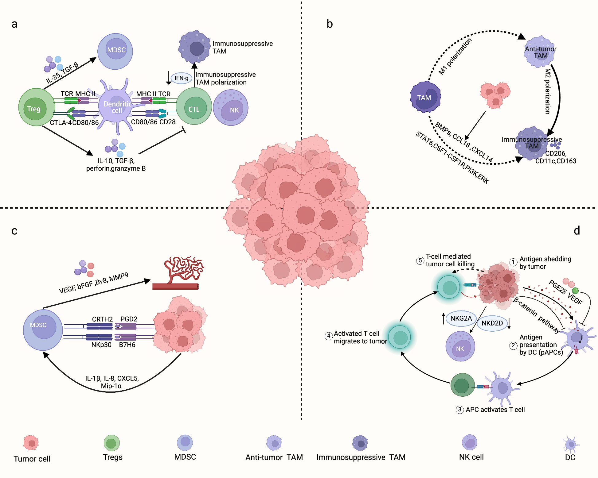 Unravelling immune microenvironment features underlying tumor progression in the single-cell era