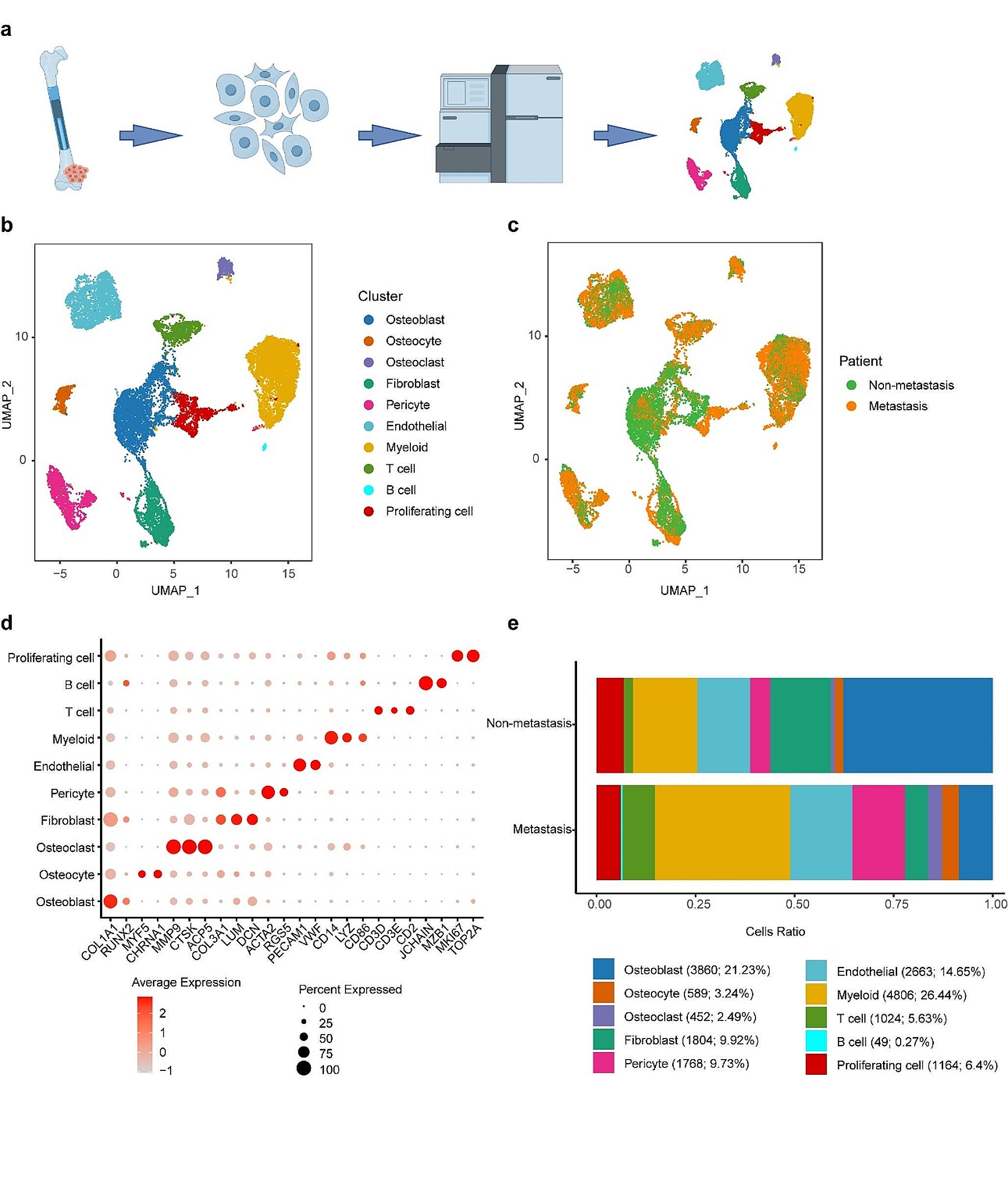 Exploring the impact of PDGFD in osteosarcoma metastasis through single-cell sequencing analysis