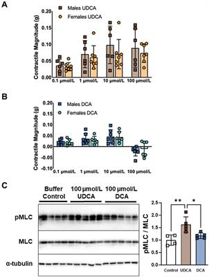 Smooth muscle contractile responses to bile acids in mouse ileum require TGR5 but not ASBT