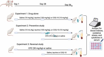 Adverse hematological profiles associated with chlorpromazine antipsychotic treatment in male rats: Preventive and reversal mechanisms of taurine and coenzyme-Q10