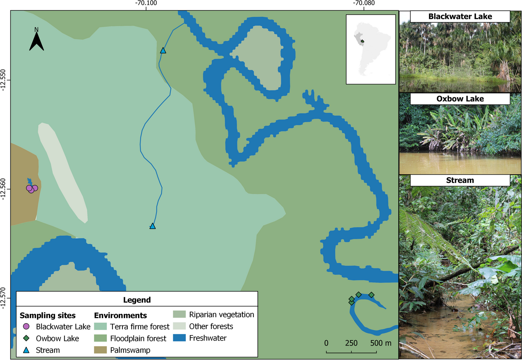 Variations in the Odonata Assemblages: How Do the Dry Season and Water Bodies Influence Them?