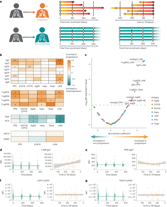 Age and sex influence antibody profiles associated with tuberculosis progression