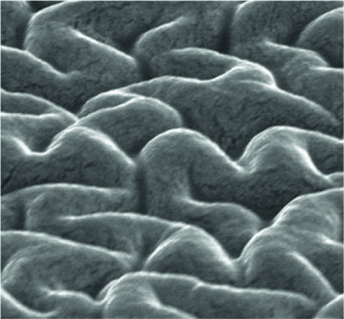 Nanoscale integration for environment-resistant flexible conductors