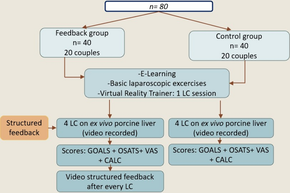 Structured feedback and operative video debriefing with critical view of safety annotation in training of laparoscopic cholecystectomy: a randomized controlled study