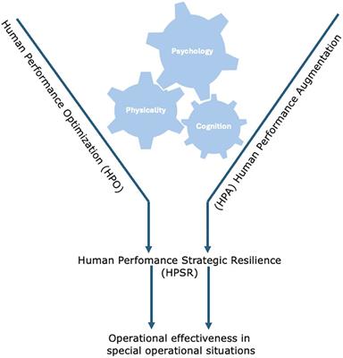 Strategic resilience in human performance in the context of science and education - perspective