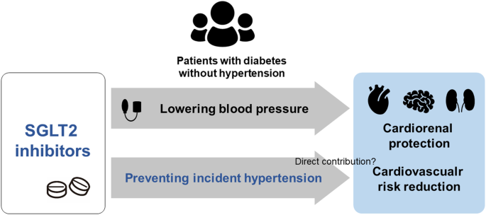 Preventive effects of SGLT2 inhibitors on incident hypertension in patients with diabetes who do not have hypertension