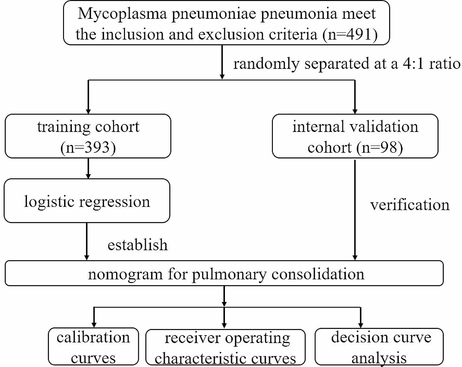 Development and validation of an online dynamic nomogram system for pulmonary consolidation in children with Mycoplasma pneumoniae pneumonia