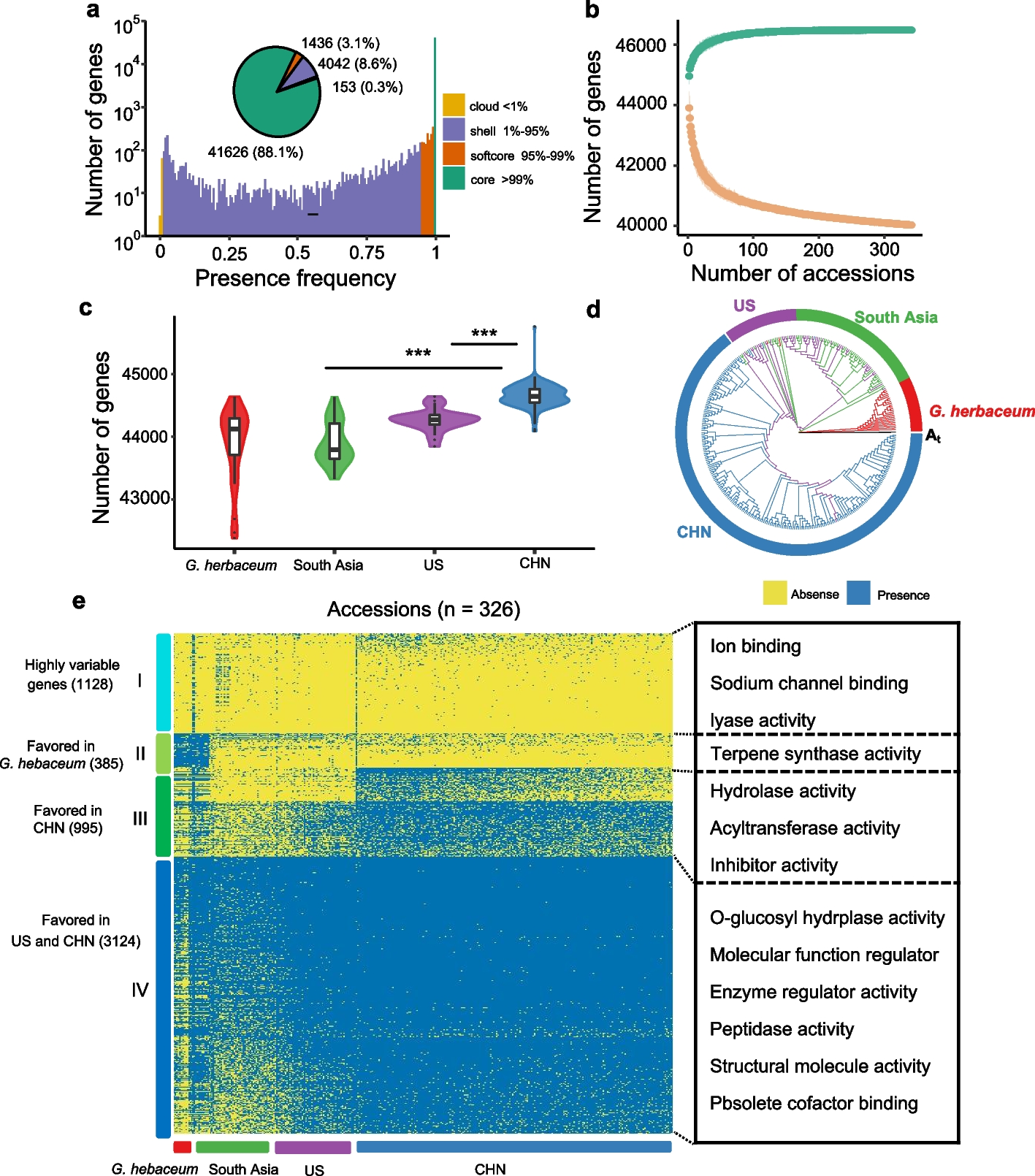 Pangenome analysis reveals transposon-driven genome evolution in cotton