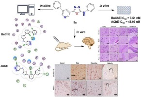 Unleashing new MTDL AChE and BuChE inhibitors as potential anti-AD therapeutic agents: In vitro, in vivo and in silico studies