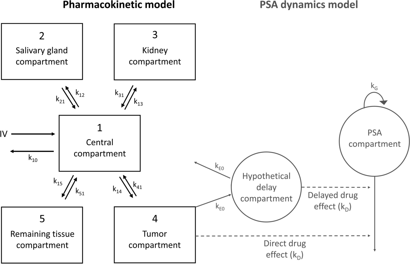 Quantification of biochemical PSA dynamics after radioligand therapy with [177Lu]Lu-PSMA-I&T using a population pharmacokinetic/pharmacodynamic model