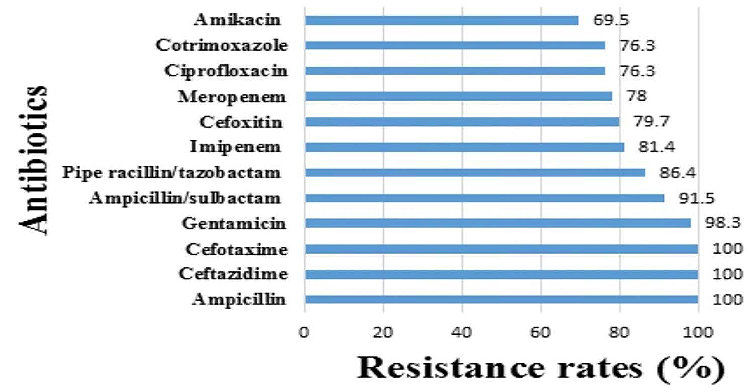 High prevalence of multidrug-resistant Enterobacterales carrying extended-spectrum beta-lactamase and AmpC genes isolated from neonatal sepsis in Ahvaz, Iran