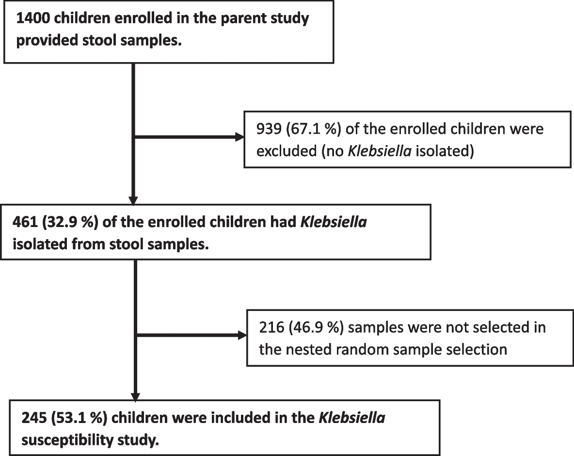 Phenotypic and molecular characterization of β-lactamase-producing Klebsiella species among children discharged from hospital in Western Kenya
