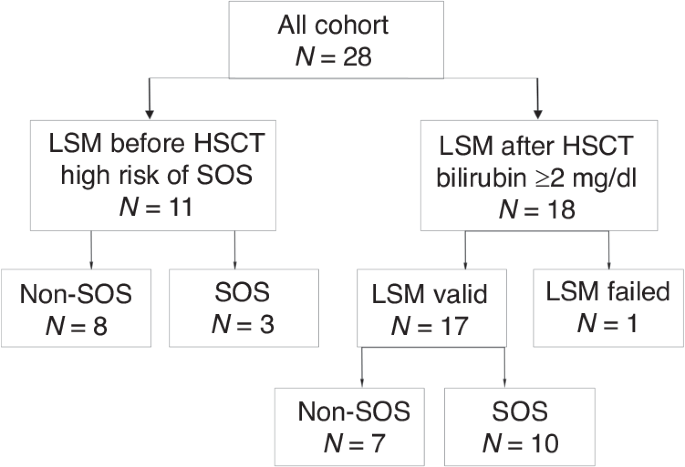 Liver stiffness measurements predict Sinusoidal Obstructive Syndrome after hematopoietic stem cell transplantation
