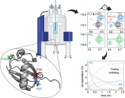 Proline Peptide Bond Isomerization in Ubiquitin under Folding and Denaturing Conditions by Pressure-Jump NMR