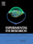 Targeting MicroRNA in myopia: Current insights