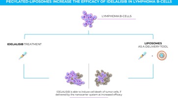Pegylated-liposomes increase the efficacy of Idelalisib in lymphoma B-cells