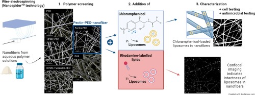 Antimicrobial liposomes-in-nanofiber wound dressings prepared by a green and sustainable wire-electrospinning set-up