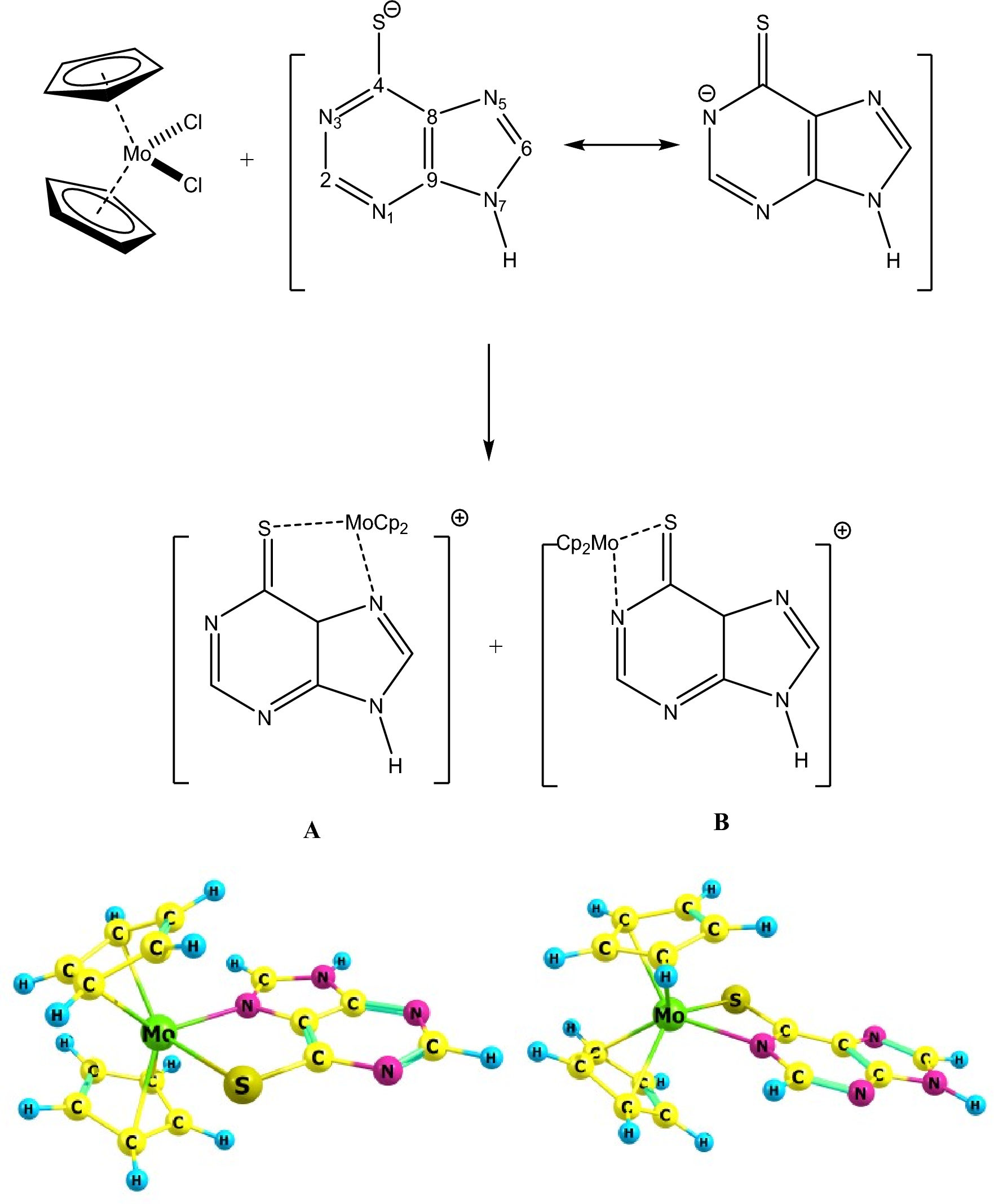 A C-PCM Outlook of Structural and Spectroscopic (IR, 1H NMR) Properties of [Cp2Mo(6-mercaptopurine)]Cl Complex
