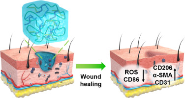 Glycopeptide-based Multifunctional Nanofibrous Hydrogel that Facilitates the Healing of Diabetic Wounds Infected with Methicillin-resistant Staphylococcus aureus