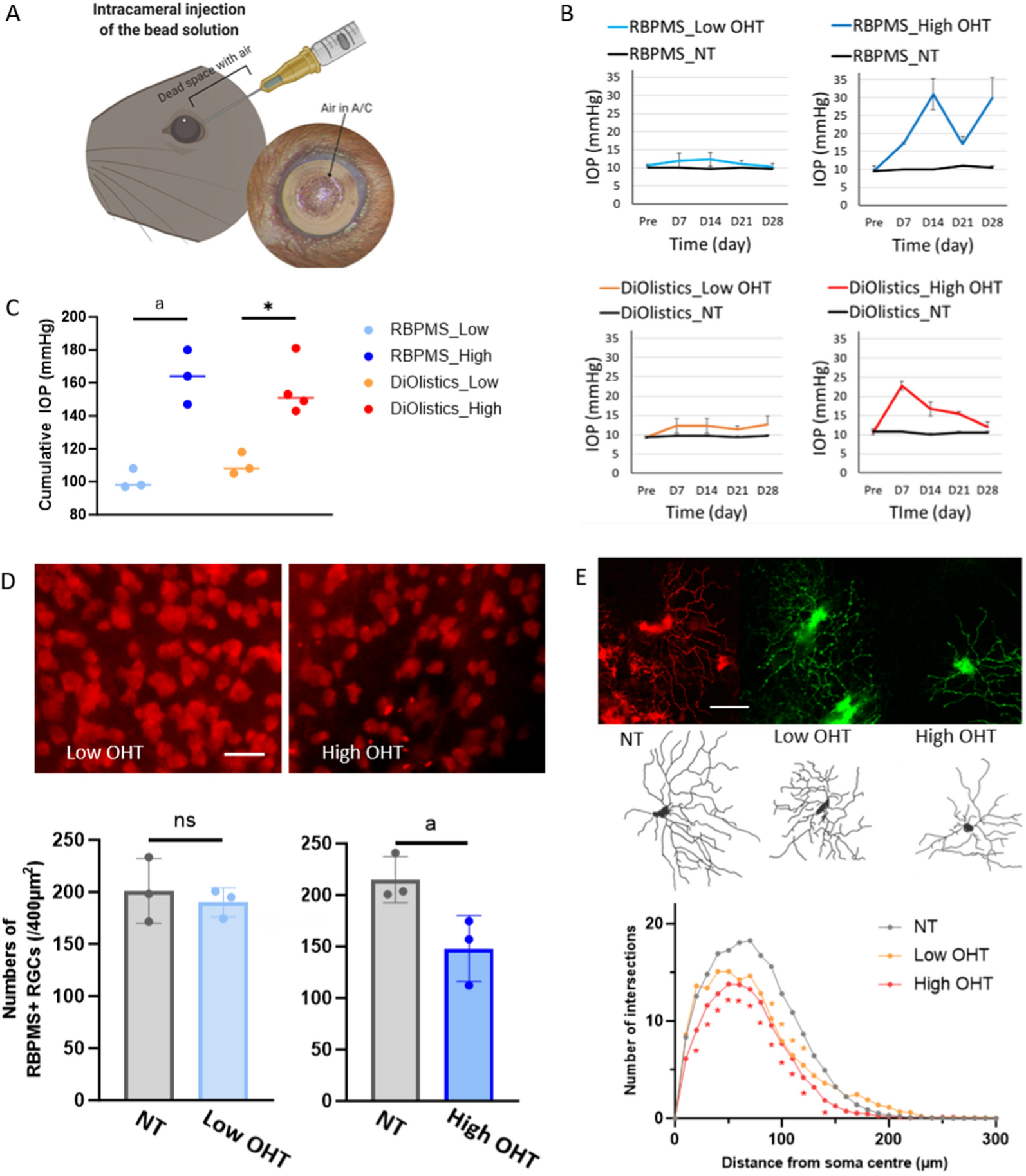 Extracellular vesicle encapsulated nicotinamide delivered via a trans-scleral route provides retinal ganglion cell neuroprotection