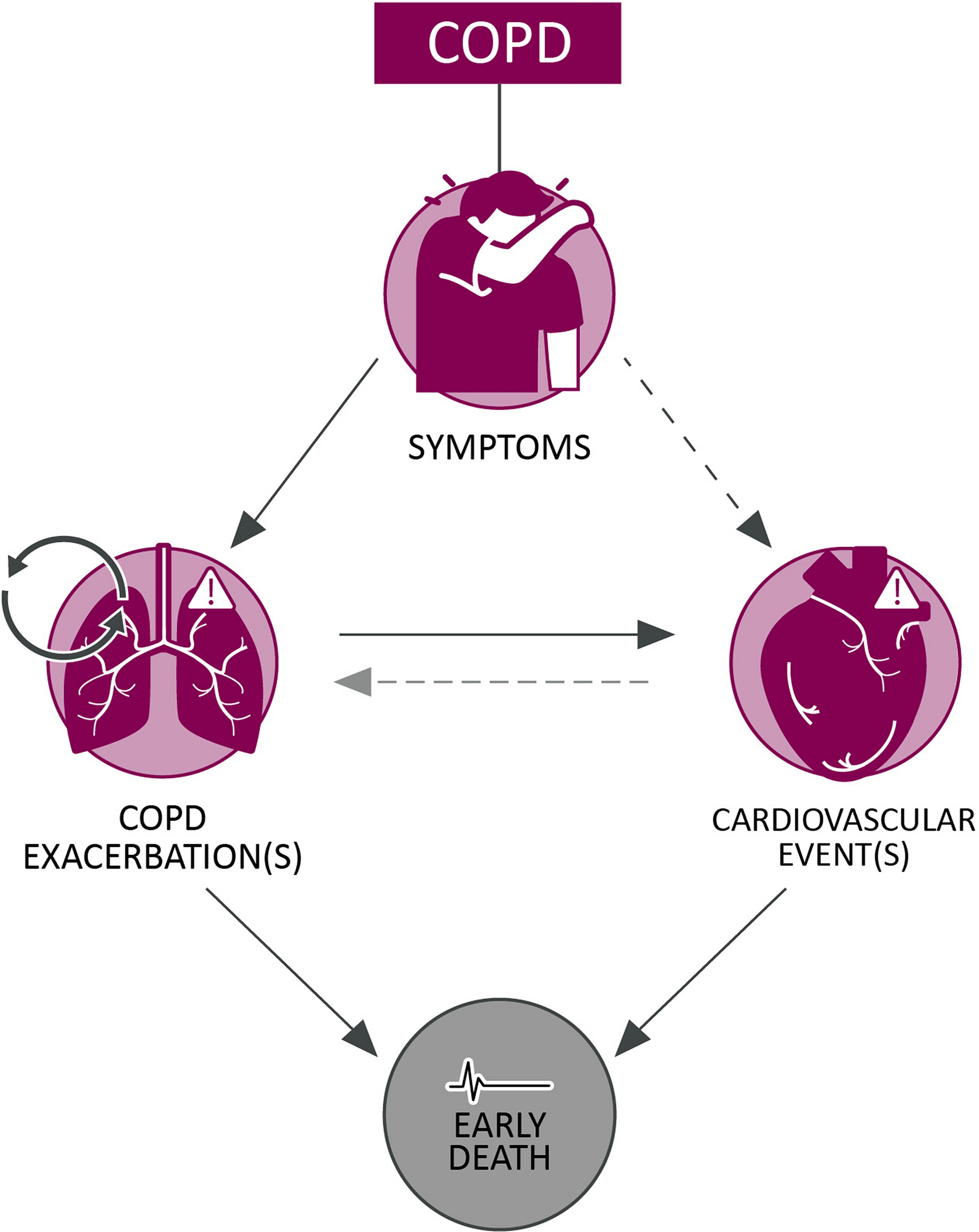 Implications of Cardiopulmonary Risk for the Management of COPD: A Narrative Review