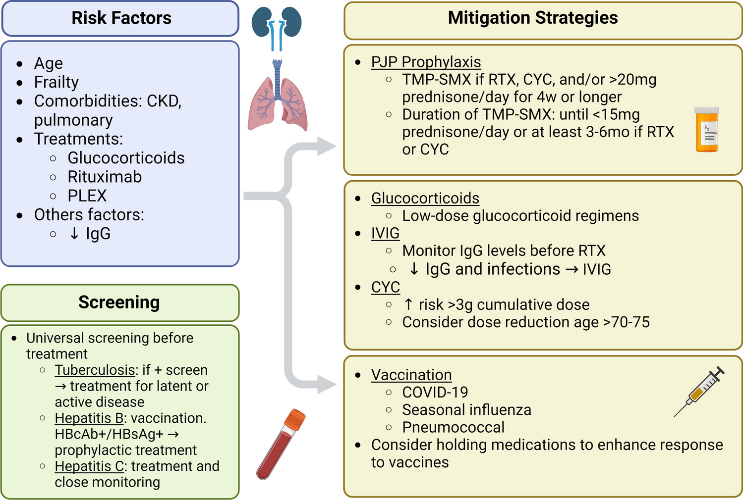 Current perspective on infections and mitigation strategies in primary systemic vasculitis