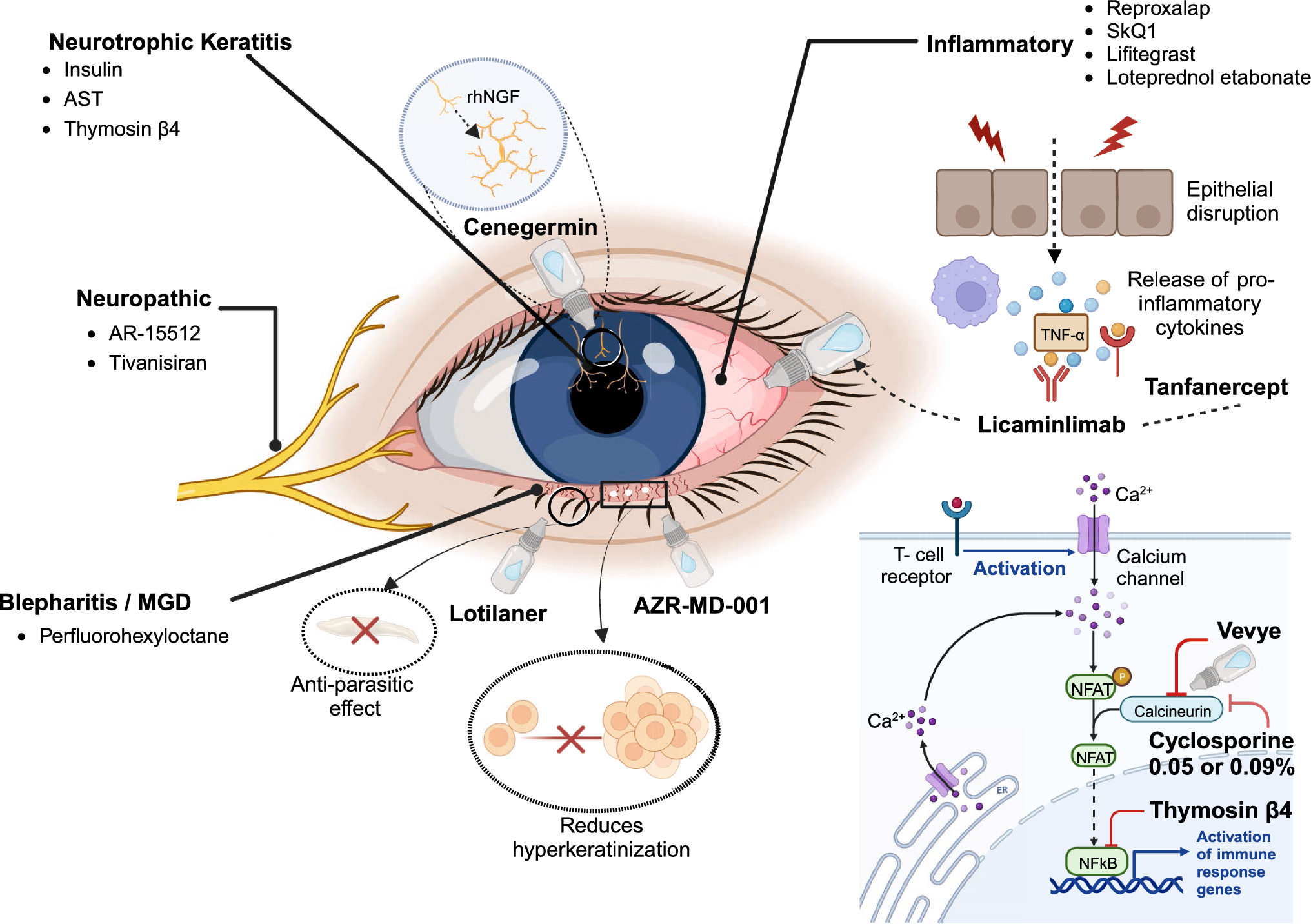 Recent United States Developments in the Pharmacological Treatment of Dry Eye Disease