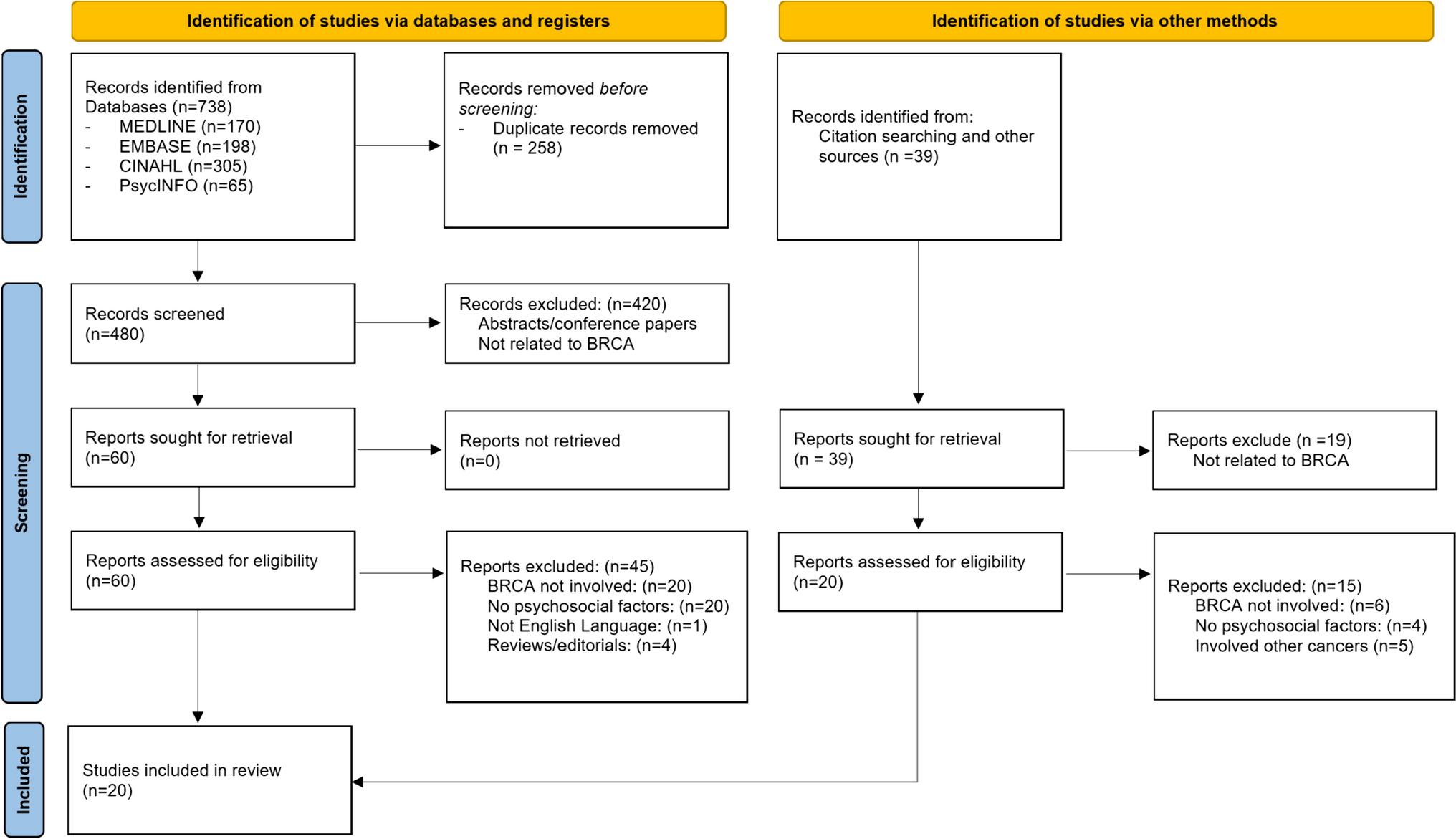 Psychosocial barriers and facilitators for cascade genetic testing in hereditary breast and ovarian cancer: a scoping review