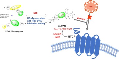 Synthesis and evaluation of pentacyclic triterpenoids conjugates as novel HBV entry inhibitors targeting NTCP receptor