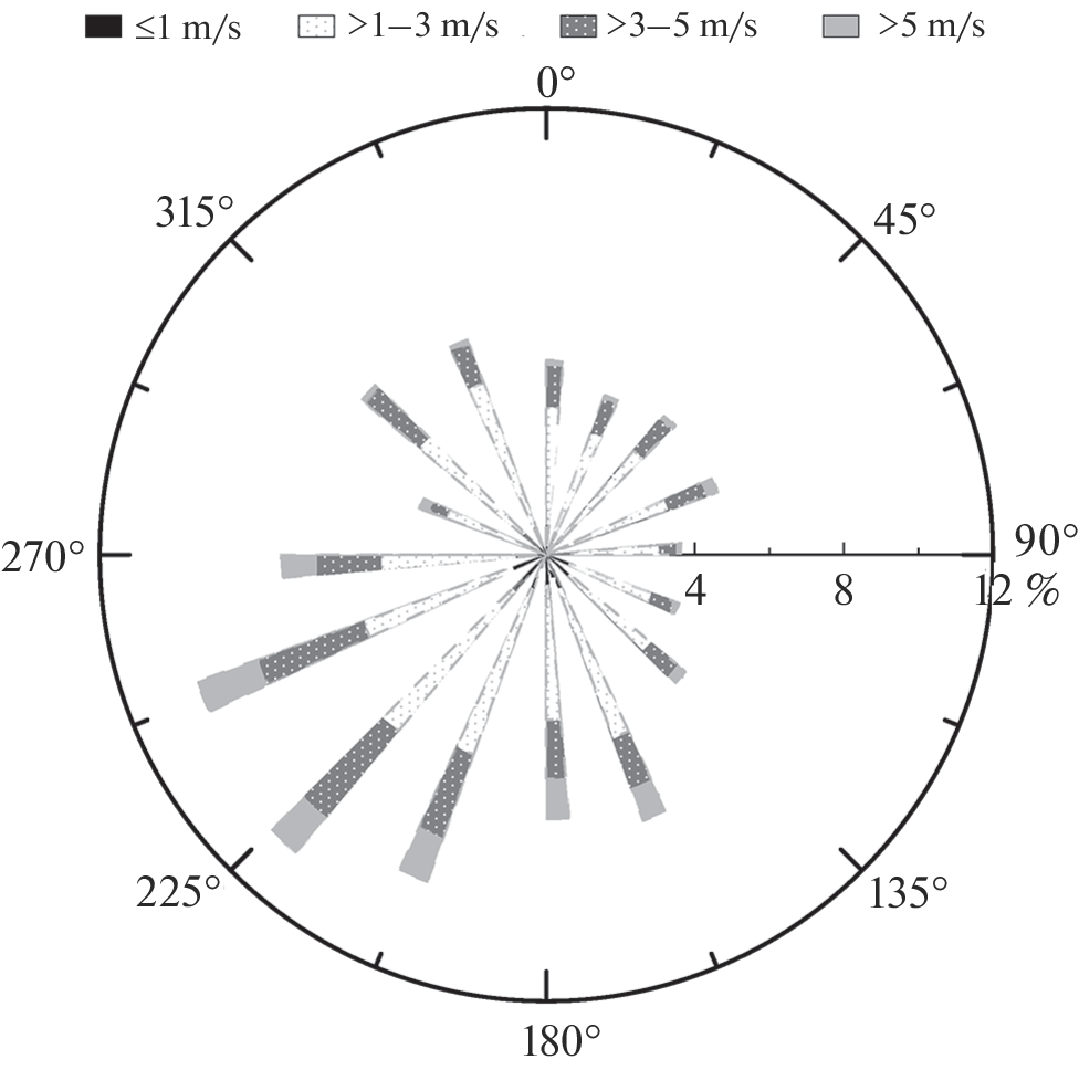 Analysis of Mixing Ratios of Greenhouse Carbon-Containing Gases at the Atmospheric Monitoring Station of St. Petersburg State University