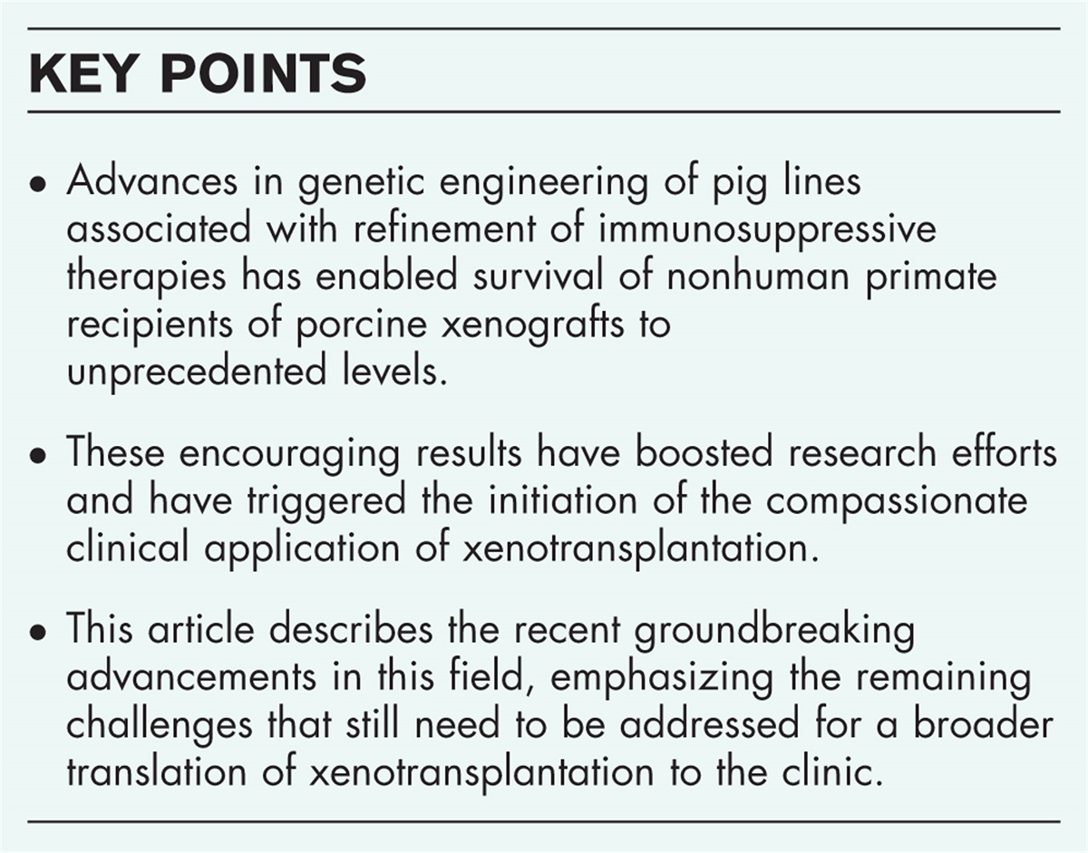 Current challenges in xenotransplantation
