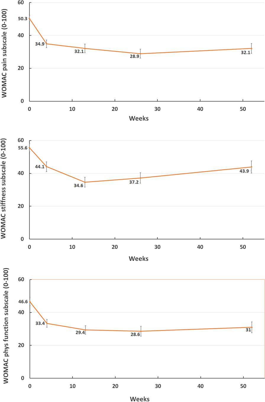 Effectiveness and safety of polyacrylamide hydrogel injection for knee osteoarthritis: results from a 12-month follow up of an open-label study