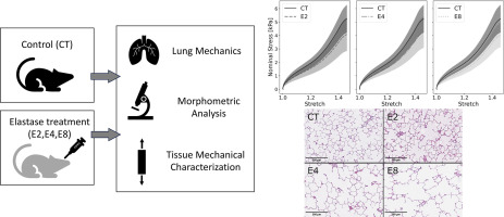 Mechanical and morphological characterization of the emphysematous lung tissue