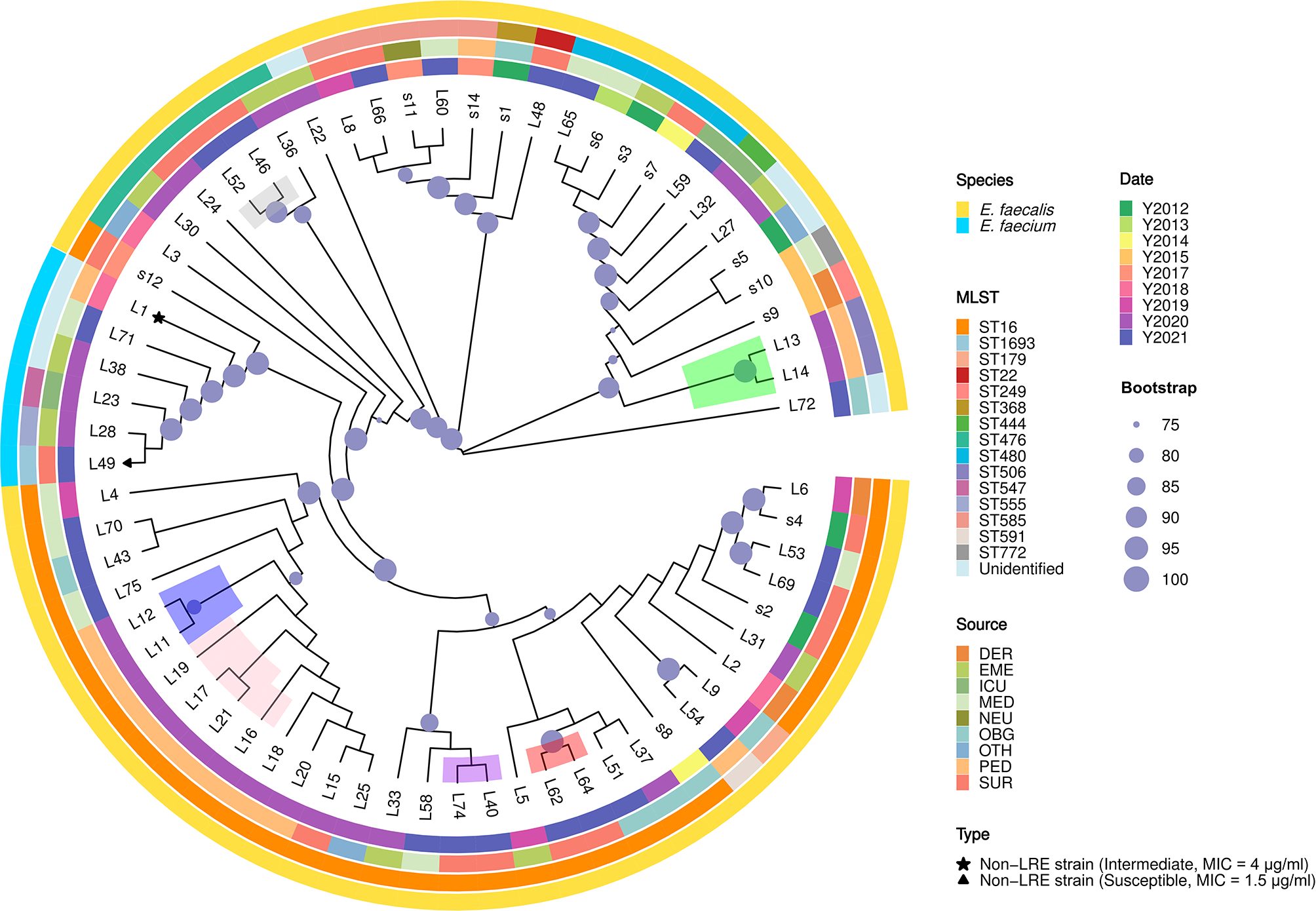 Genomic epidemiology reveals multiple mechanisms of linezolid resistance in clinical enterococci in China