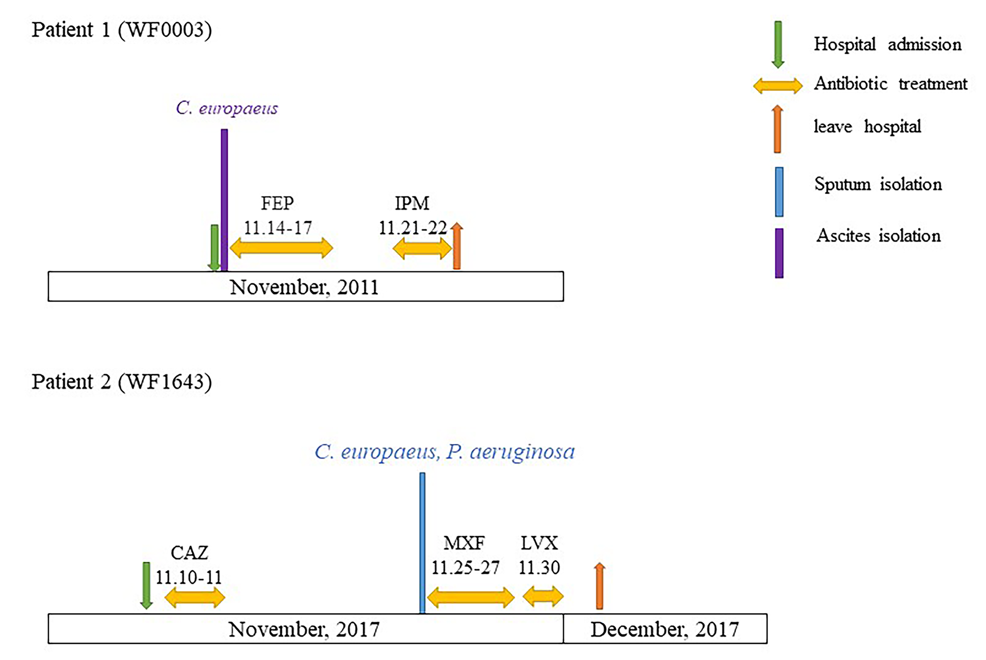Whole-genome sequencing of clinical isolates of Citrobacter Europaeus in China carrying blaOXA−48 and blaNDM−1