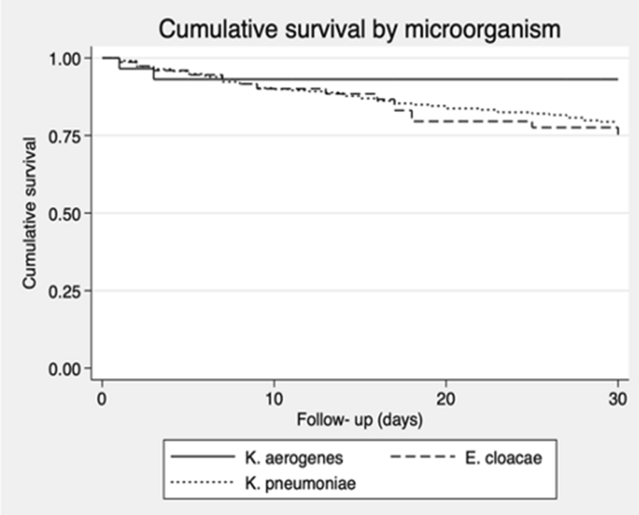 Differences in clinical outcomes of bloodstream infections caused by Klebsiella aerogenes, Klebsiella pneumoniae and Enterobacter cloacae: a multicentre cohort study